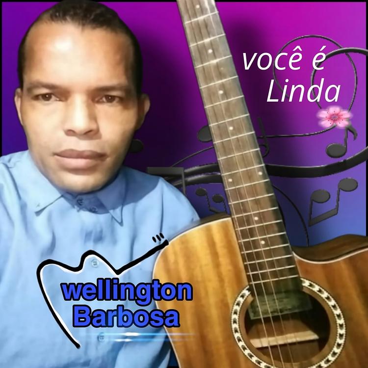 Wellington Barbosa's avatar image