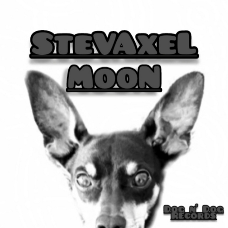 Stevaxel's avatar image