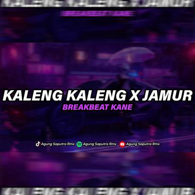 DJ KALENG KALENG BREAKBEAT X JAMUR JANDA MUDA DIBAWAH UMUR's cover