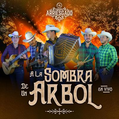 Los Amigos del M (En Vivo)'s cover