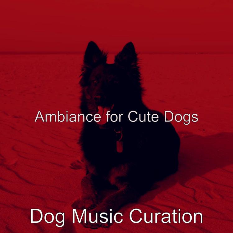 Dog Music Curation's avatar image