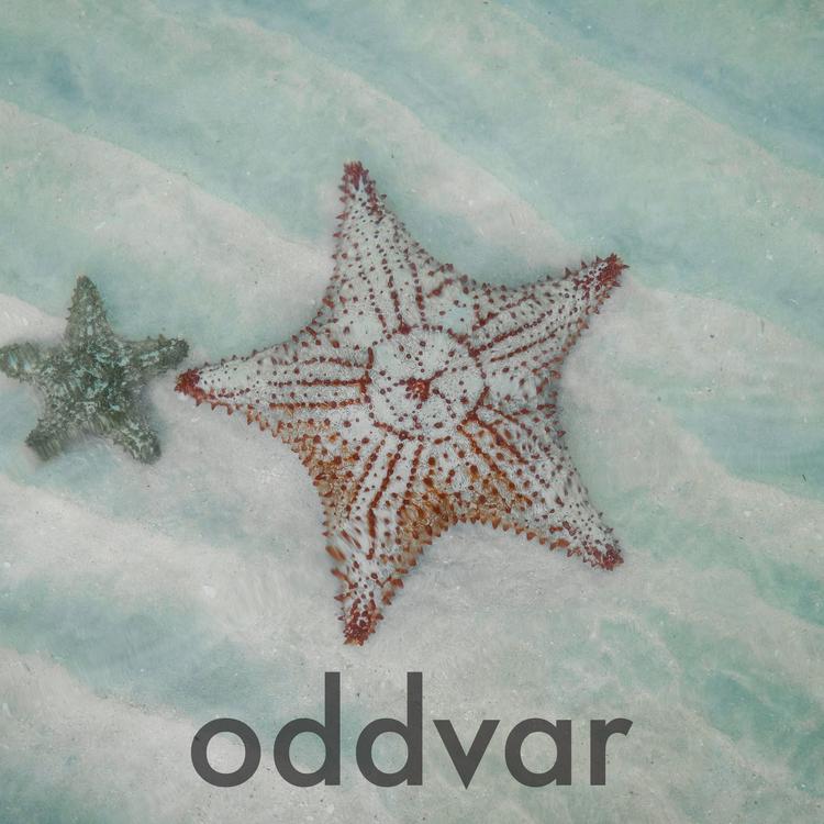 Oddvar's avatar image