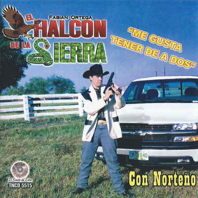 Me Gusta Tener De A Dos (Con Norteño)'s cover