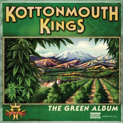 The Green Album (Deluxe Edition)'s cover