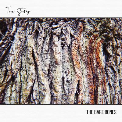 True Story By The Bare Bones's cover