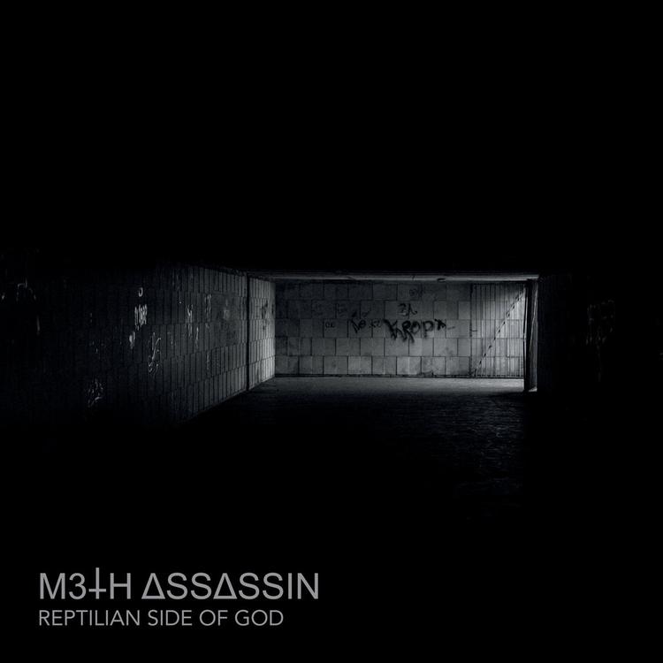 Meth Assassin's avatar image