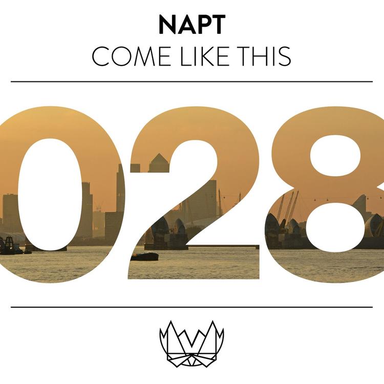 NAPT's avatar image