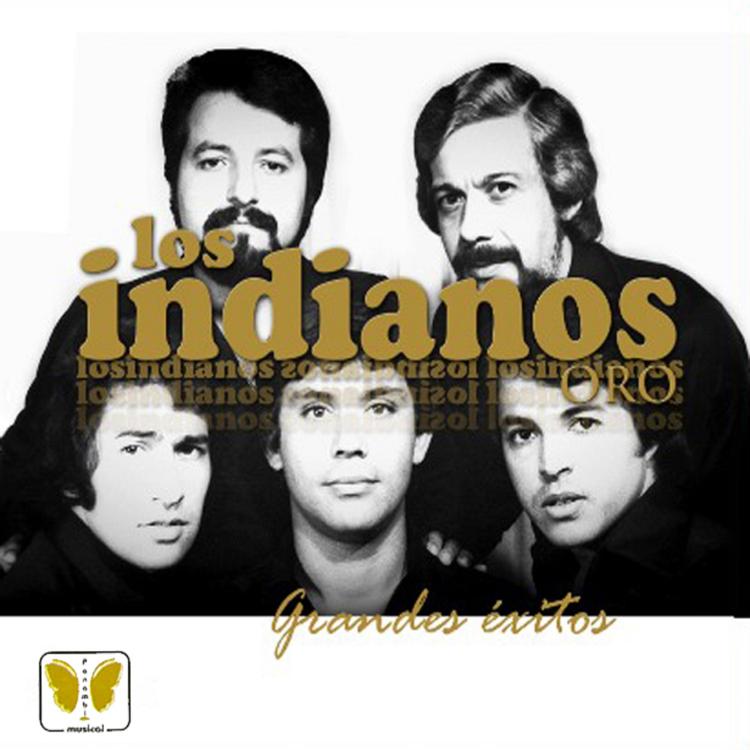 Los Indianos's avatar image