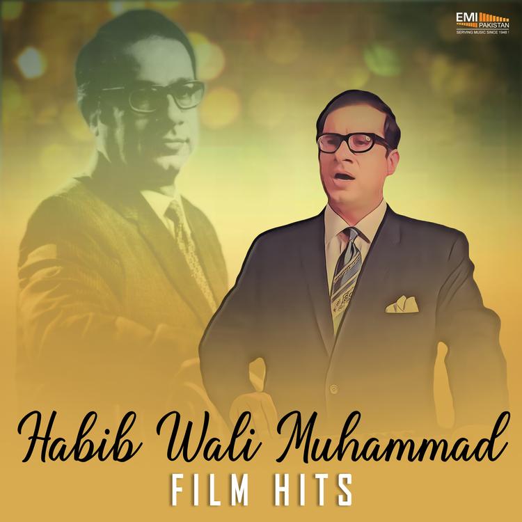 Habib Wali Muhammad's avatar image