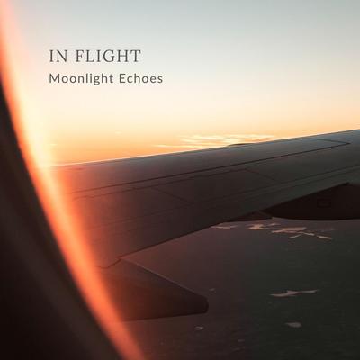 In Flight By Moonlight Echoes's cover