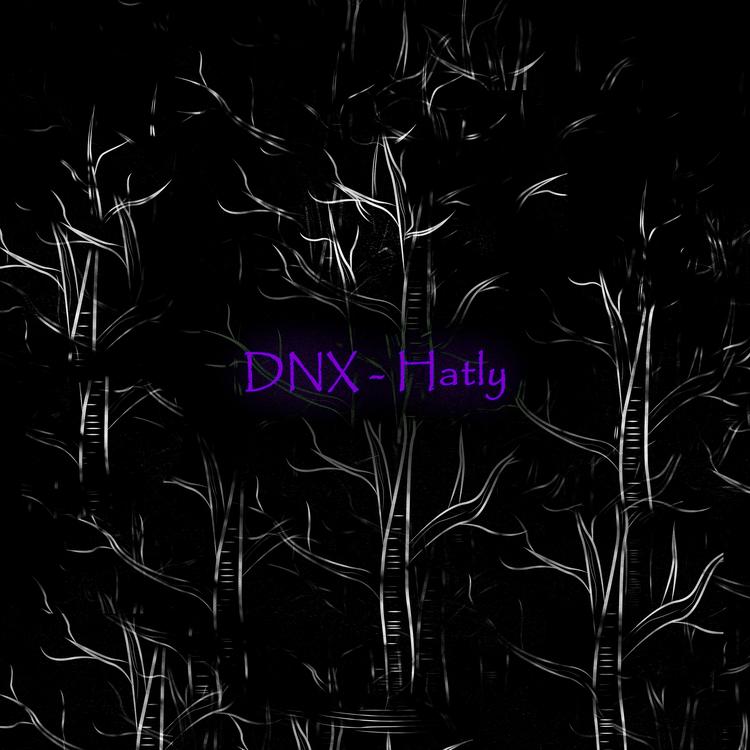 DNX's avatar image