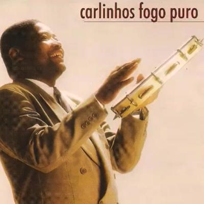 Há uma Roda de Fogo / Liga, Liga, Liga, Liga Nessa Hora / Desemborca o Vaso By Carlinhos fogo puro's cover