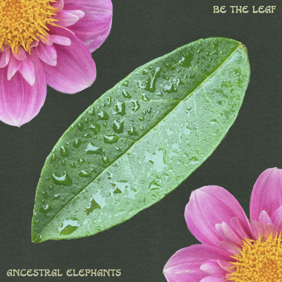 Be the Leaf By Ancestral Elephants's cover