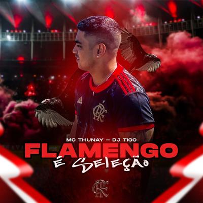 Flamengo É Seleção's cover
