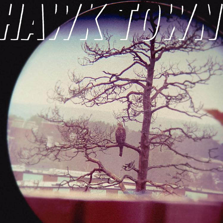 Hawk Town's avatar image