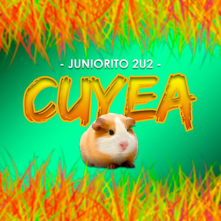 Juniorito 2U2's avatar image