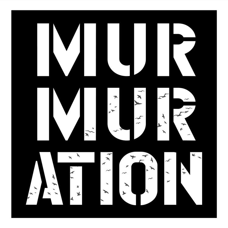 Murmuration's avatar image