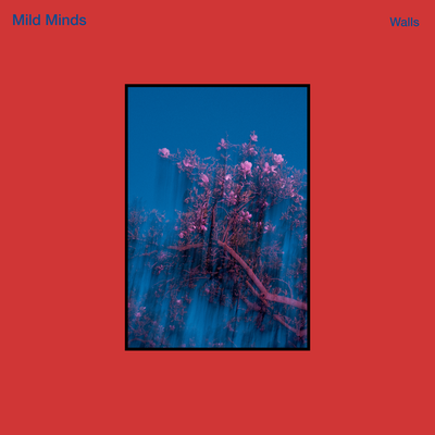 WALLS By Mild Minds, Boats's cover