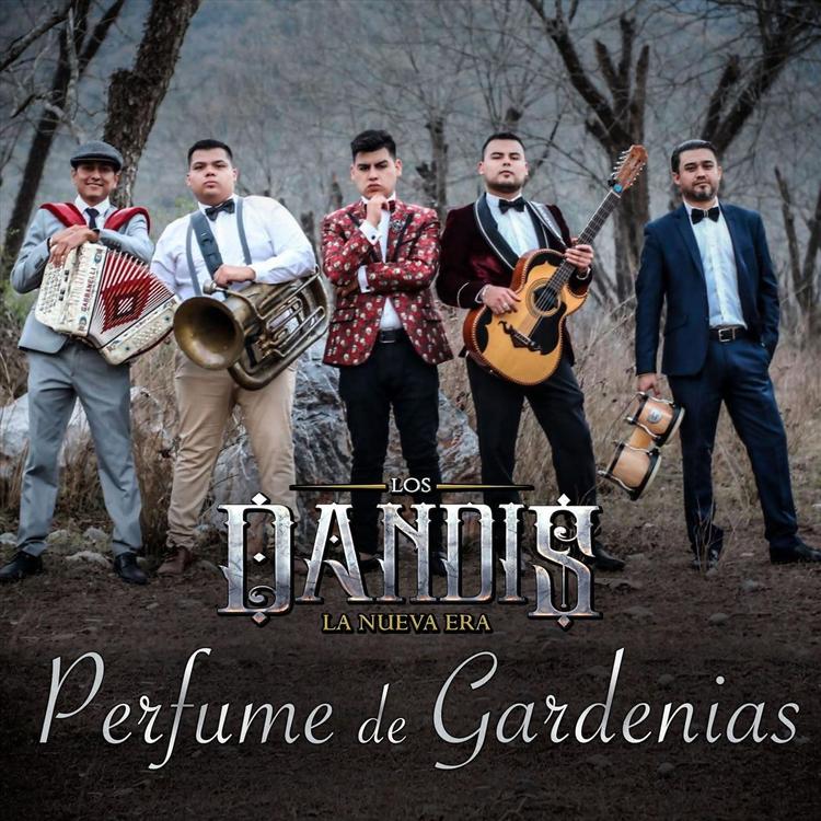 Los Dandis la Nueva Era's avatar image