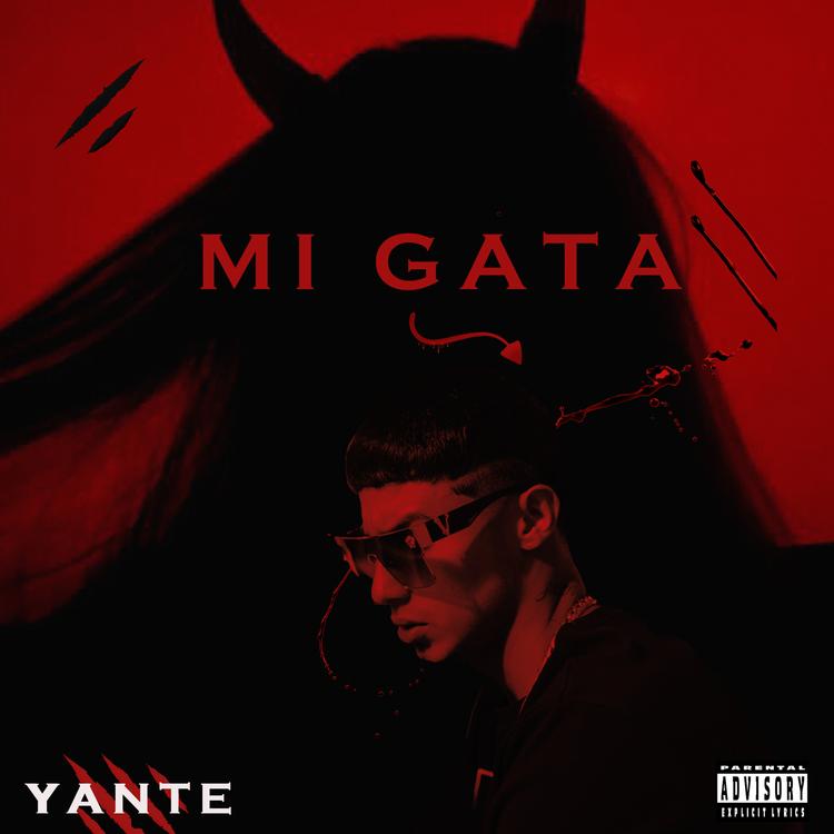 Yante's avatar image