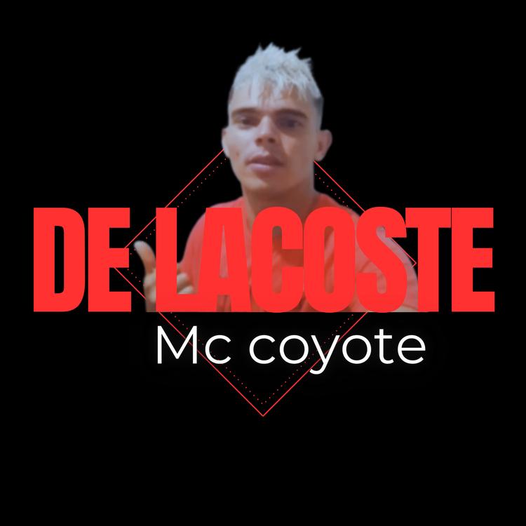 Mc coyote ofc's avatar image