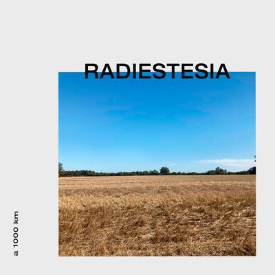 A 1000 Km By Radiestesia's cover