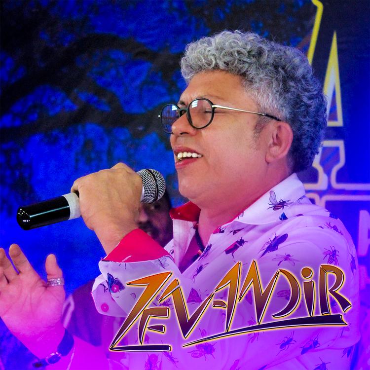 Zé Vandir's avatar image