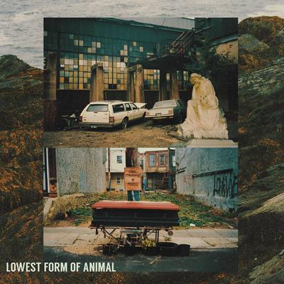 Lowest Form Of Animal's cover