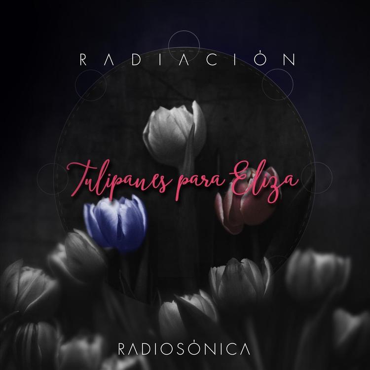 Radiosónica's avatar image