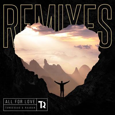 All For Love (Remixes)'s cover