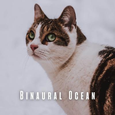 Chill Cat Melodies by the Ocean's cover