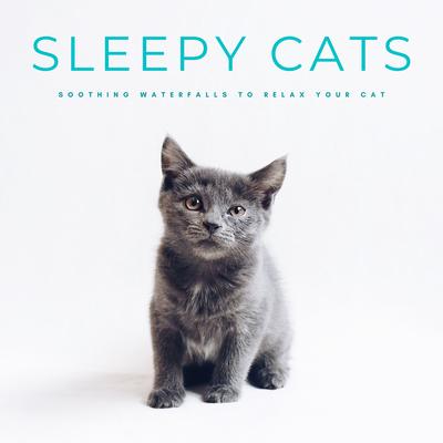 Sleepy Cats: Soothing Waterfalls To Relax Your Cat's cover