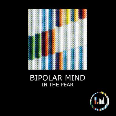 President By Bipolar Mind's cover