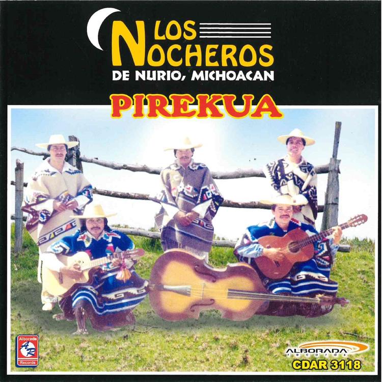 Los Nocheros de Nurio Michoacán's avatar image