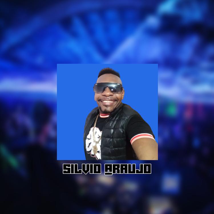 Silvio Araújo's avatar image