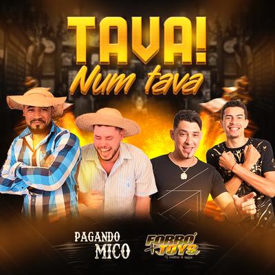 Tava! Num Tava's cover