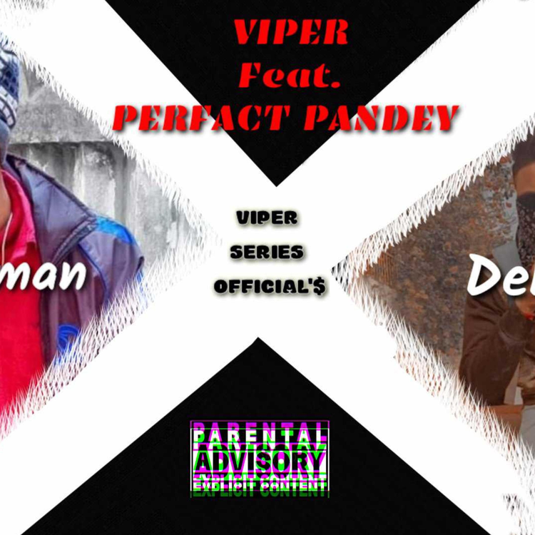 PERFACT PANDEY & VIPER's avatar image