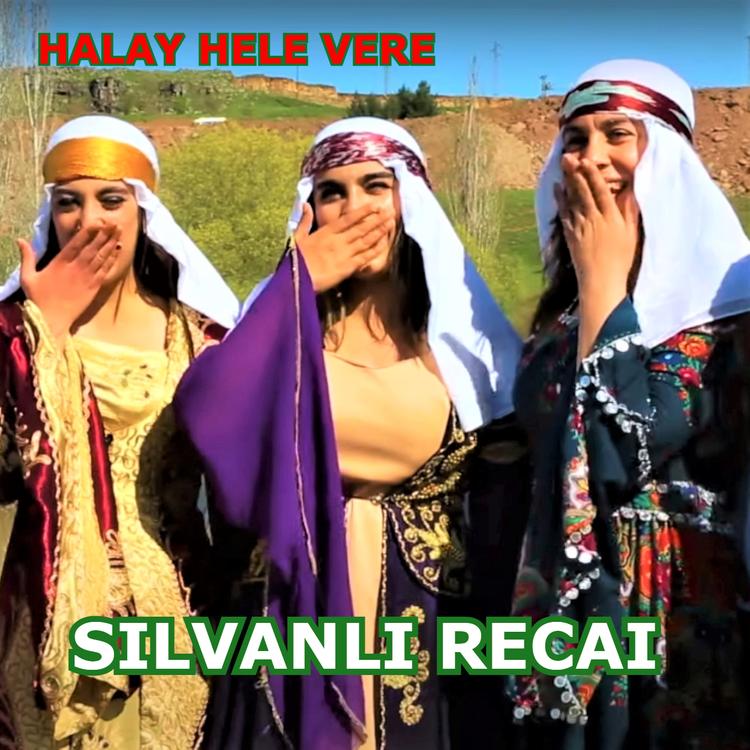 Silvanlı Recai's avatar image