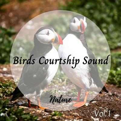 Nature: Birds Courtship Sound Vol. 1's cover