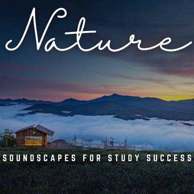 Study Success Ambiance's cover
