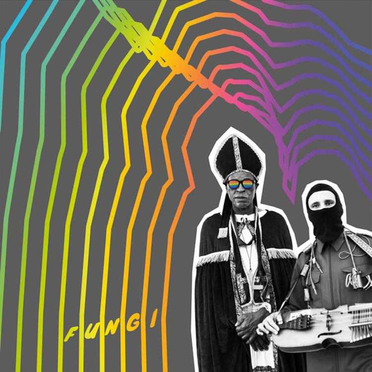 Folk Music Liberation Front's avatar image