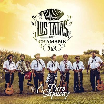 Mi Petiso Maceta By Los Tatas del Chamamé's cover