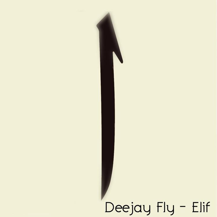 Deejay Fly's avatar image