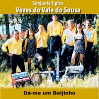 Conjunto Típico Vozes Do Vale Do Sousa's avatar cover
