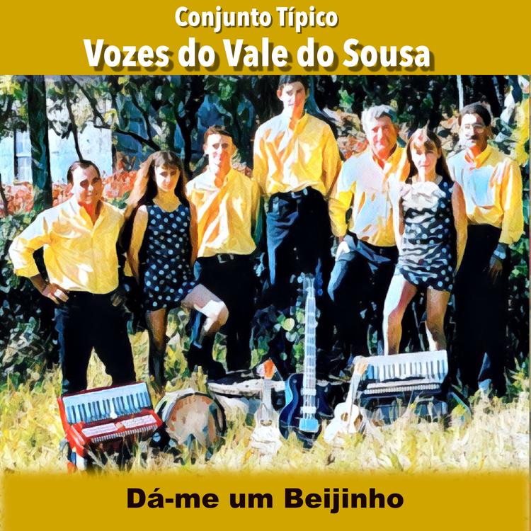 Conjunto Típico Vozes Do Vale Do Sousa's avatar image