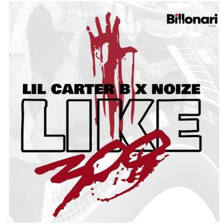 LIL CARTER BB's avatar image