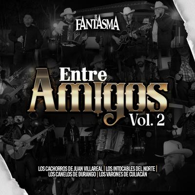 Entre Amigos, Vol.2's cover