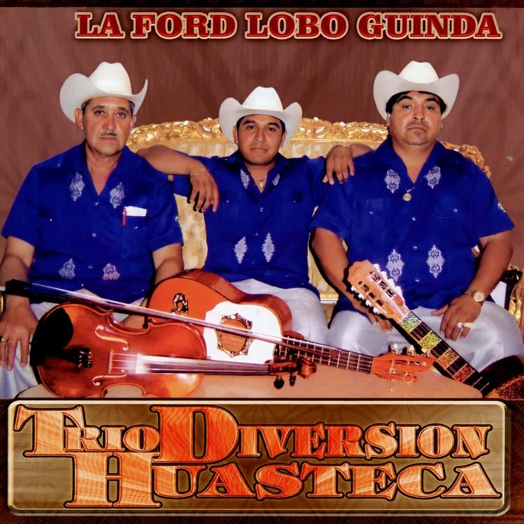 Trio Diversion Huasteca's avatar image