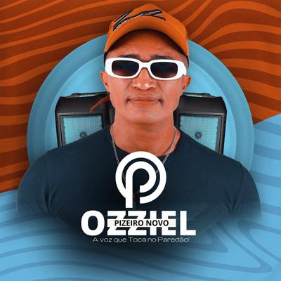 Passagem de Som By Ozziel Piseiro Novo's cover