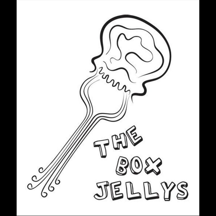 The Box Jellys's avatar image